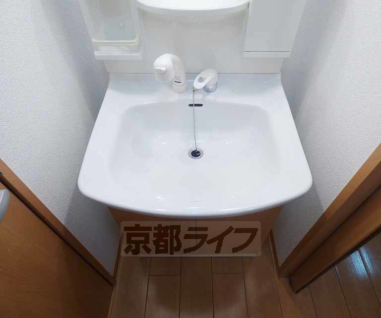 パークハイムひのきの洗面所
