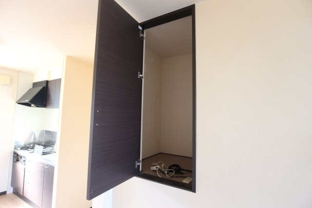 レオネクストプレアデスの収納