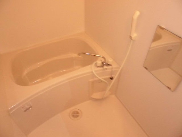 レオネクストプレアデスの浴室|画像5