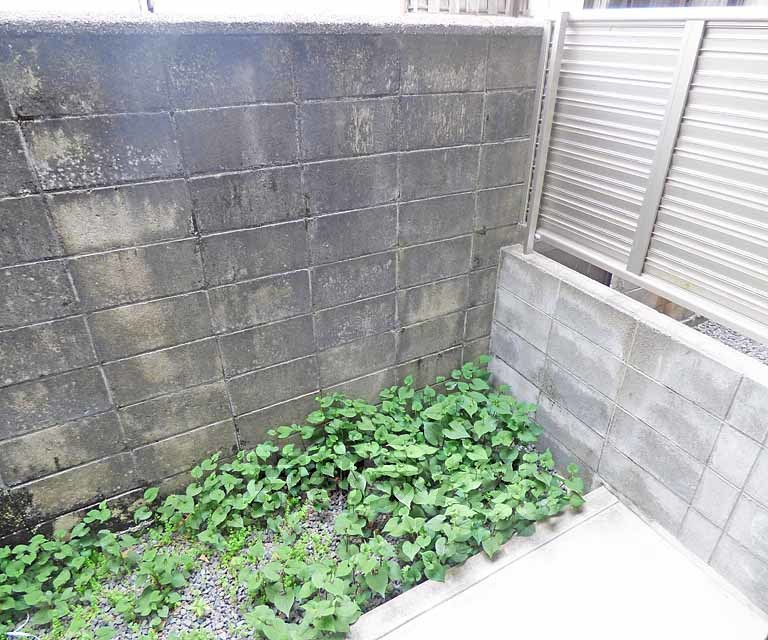 メゾンプラムの庭