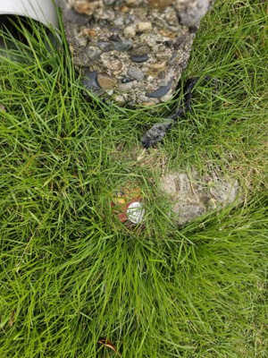 【その他】 | 一本松土地（約40坪）