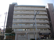 Grand　corp Cattleyaの画像