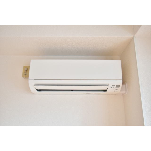 プロビデンス花畑のその他