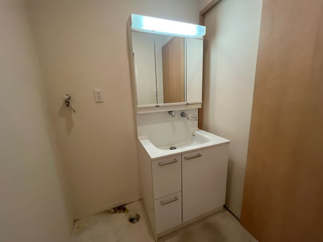 メゾン・ルーチェＡ棟の洗面所