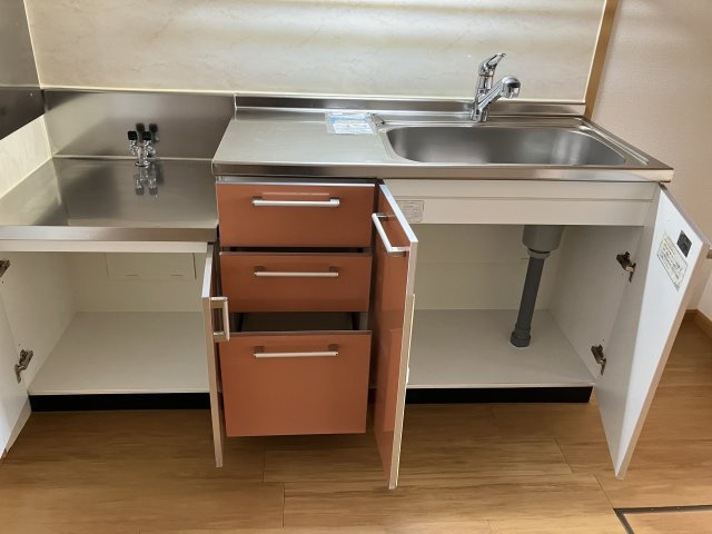 グランデカメリア山の手Ⅵの洗面所