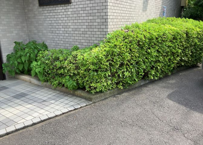 【庭】 | 相武台北パークホームズ | 物件によっては、入居者が個人的に使用できる専用庭がついているものもあります。また、住宅の中にある土間の部分を庭と呼ぶこともあります。庭の用途は住む人によって変わり、それによってデザインもさまざまです。