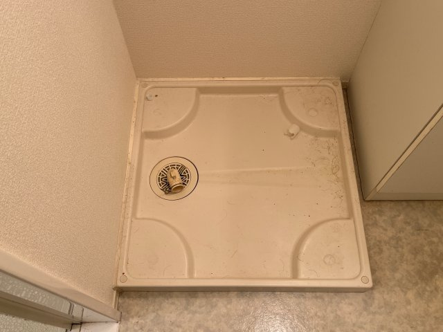 フィグガーデンのその他