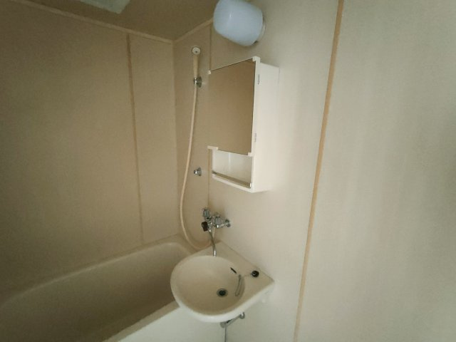 福原トータスの洗面所