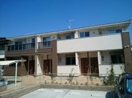 サニーグランツの画像