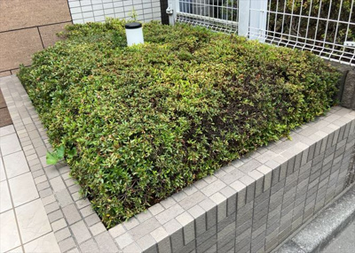 【庭】 | サンクレイドル西八王子アリア | 物件によっては、入居者が個人的に使用できる専用庭がついているものもあります。また、住宅の中にある土間の部分を庭と呼ぶこともあります。庭の用途は住む人によって変わり、それによってデザインもさまざまです。