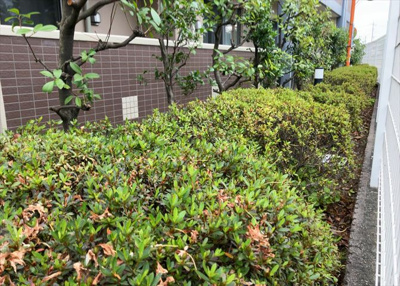 【中庭】 | サンクレイドル西八王子アリア | 中庭（パティオ）とは、一つの建築物の内部に設けられた、壁などで囲われている庭のことを指します。コの字型、ロの字型が主流ですが、L字型の中庭もあります。最近では、インテリア性の高さからも人気があります。