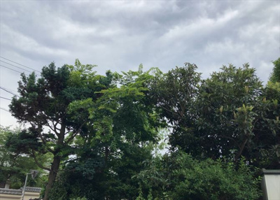 【展望】 | サンクレイドル西八王子アリア | 景色重視でお家選ぶをするとスーパーが遠い！学校が遠い！など生活をするうえで利便性で困ることもあります。まず一度現地を見学する際に、周辺の施設などがあるかを確認し、暮らし始めた後のことを想像しましょう。