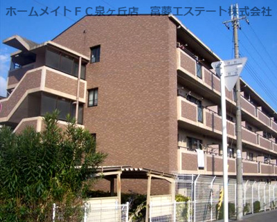 【外観】 | HAPUNA高石