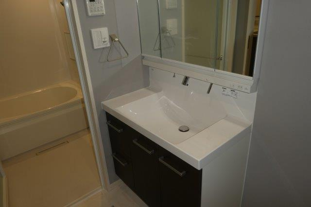 ディマーネⅡの独立洗面台|シャンプードレッサー