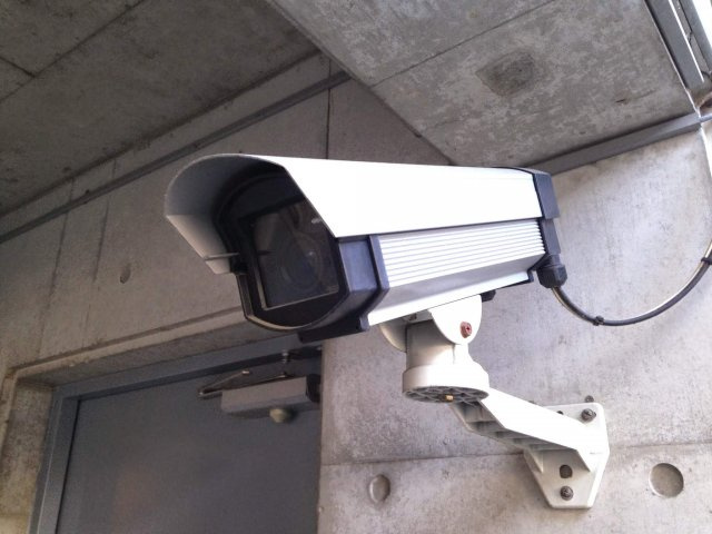 フルールロードのその他