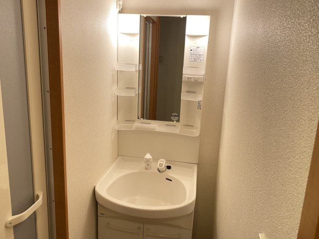 カリヨン新田辺の洗面所
