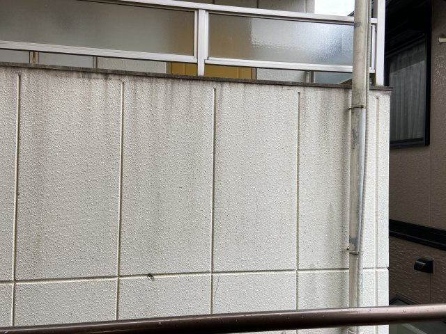 カサ・アカデミカの展望