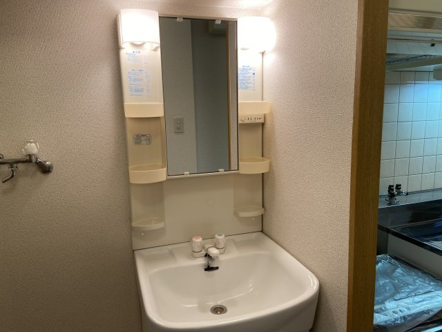 アートプラザ京田辺の洗面所