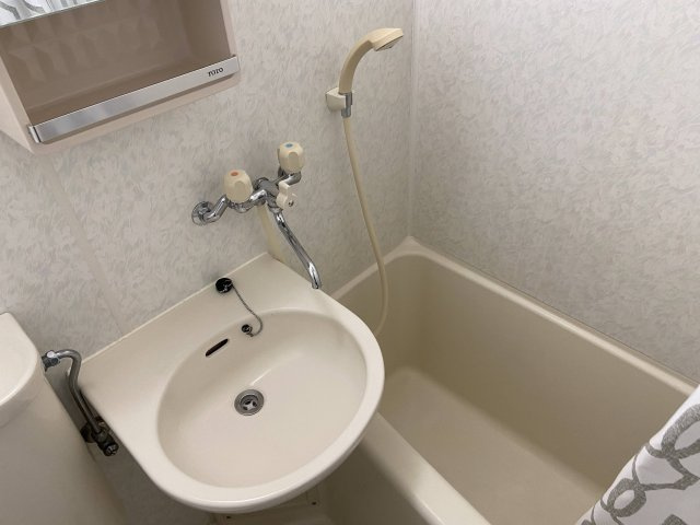 セレーネ田辺Ⅳの洗面所