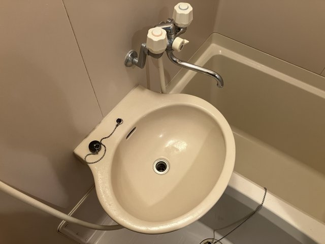 グレース田辺の洗面所