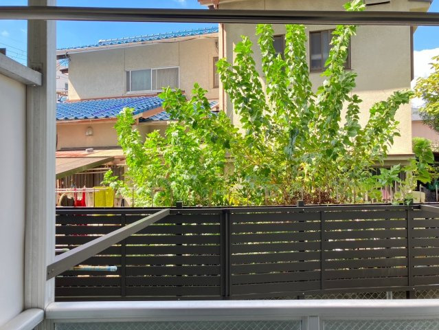 ヴィラ興戸の展望