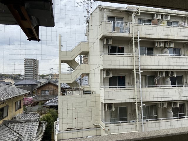 スカイハイツ三山木の展望