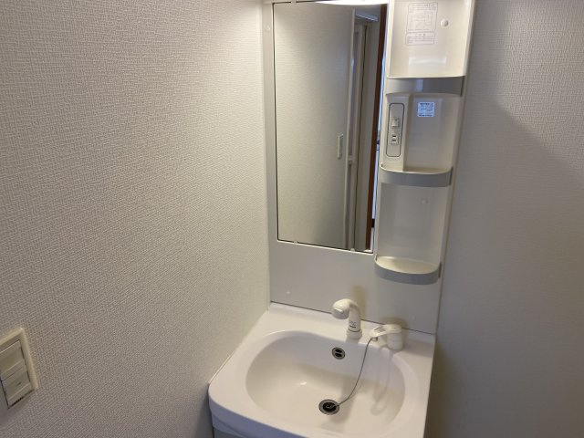 サザンルネス三山木の洗面所