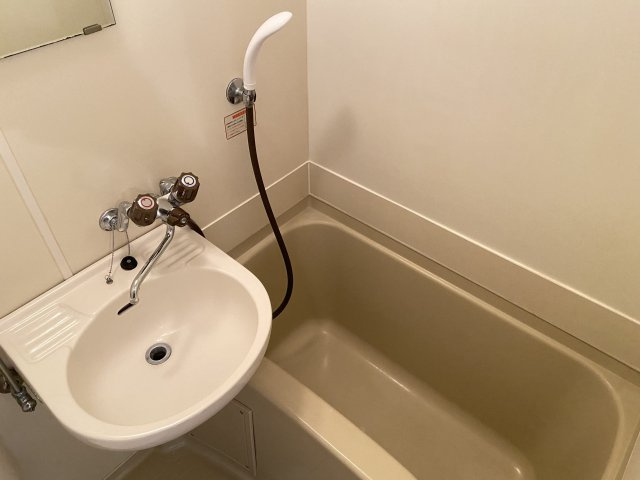 メゾン市川弐番館の洗面所