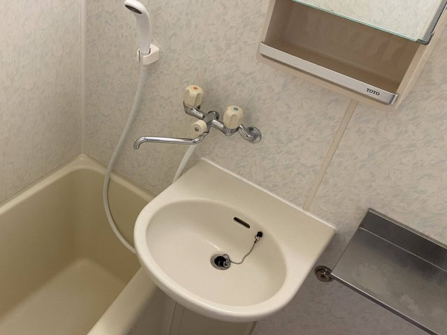 セレーネ田辺Ⅲ-Bの洗面所