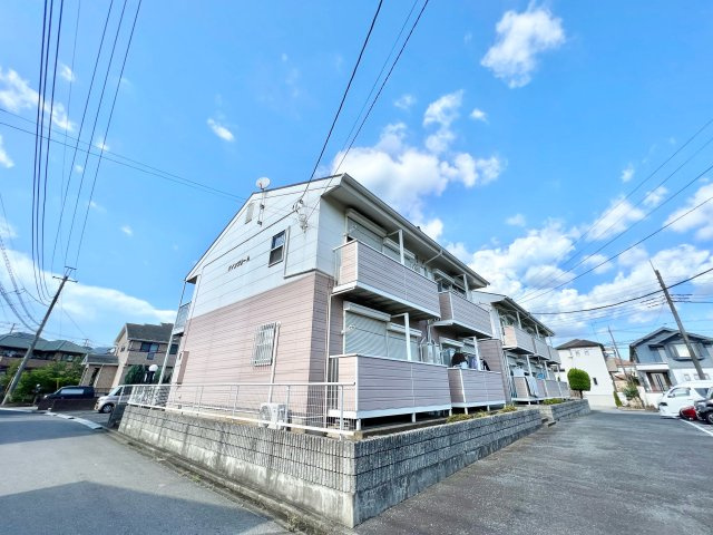 パインツリーの外観