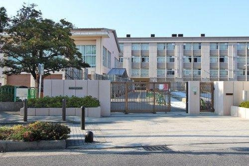 【その他】 | ブリティッシュ・ティンバー泉佐野