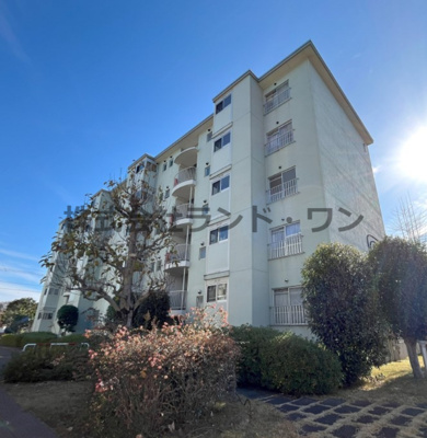 【外観】 | 緑ハイツ 1号棟