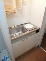 同タイプ参考写真