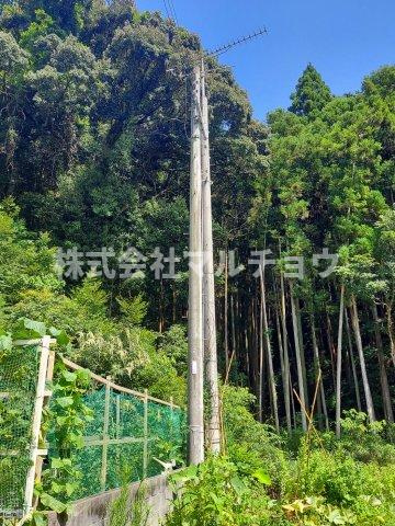 生馬売り地の展望