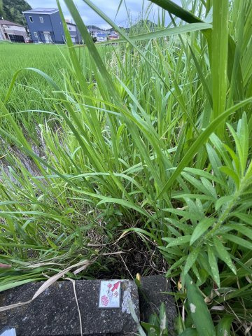 土地　粟野西7丁目の外観