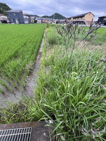 土地　粟野西7丁目の外観