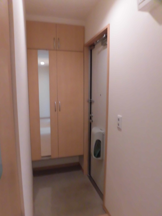 メゾン・ヴェール Aの玄関|Ａ201 玄関