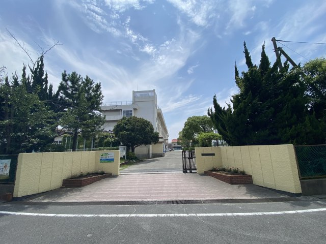 の-の画像