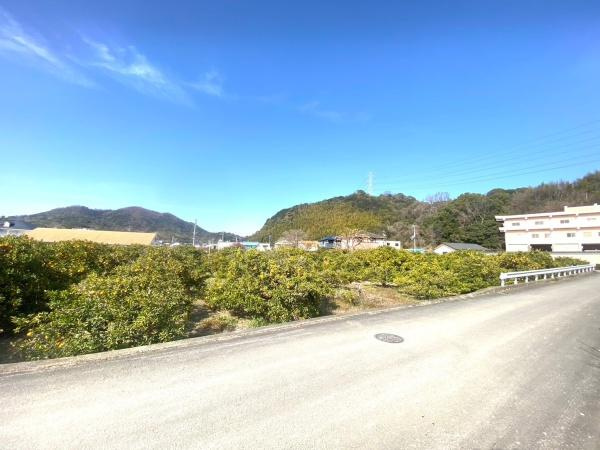 和歌山市毛見　土地のその他