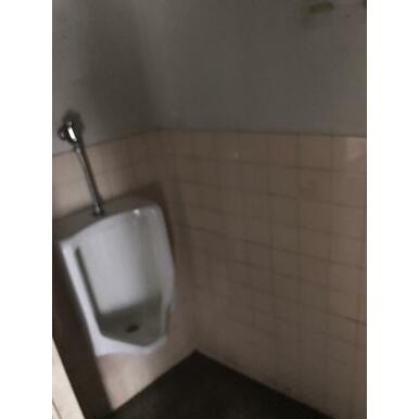 ⻘⽊ビルのトイレ
