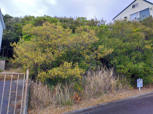 黒潮台売り地