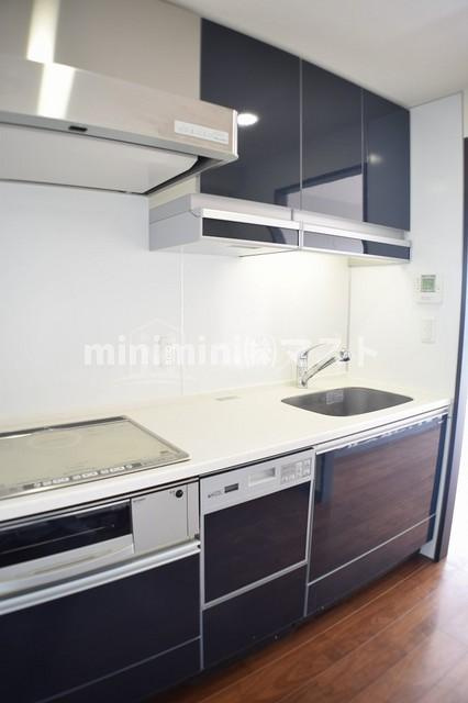 アステリオ北堀江ザ・メトロタワーのキッチン