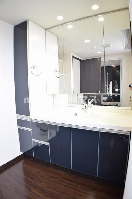 アステリオ北堀江ザ・メトロタワーの洗面所