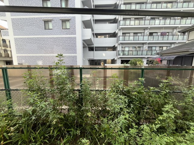 サンコーハイツの庭