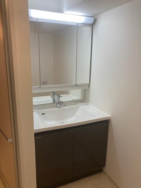 Alivis一之江の洗面所