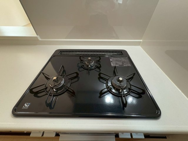 深草願成町2区画　１号地のその他