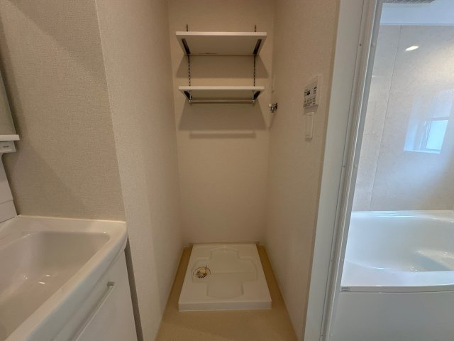 ラティオスのその他