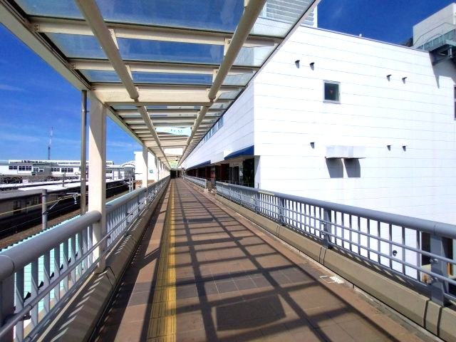 COCOLA AVENUEの周辺