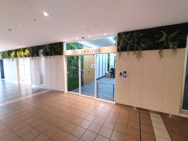 COCOLA AVENUEのその他