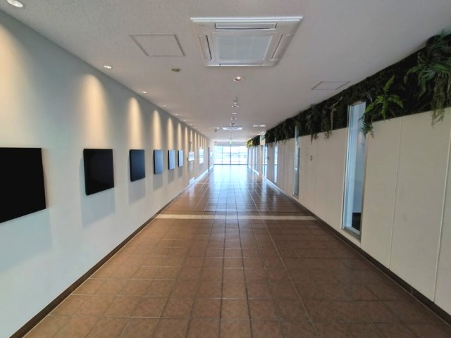 COCOLA AVENUEの周辺